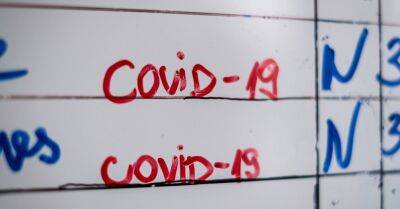 За сутки выявлено 188 новых случаев Covid-19, скончались три пациента - rus.delfi.lv - Латвия - Covid-19
