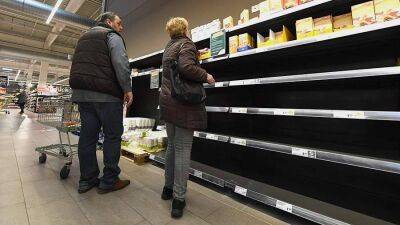 Германия - Продовольственные союзы ФРГ предупредили о риске нехватки продуктов питания - smartmoney.one - Украина - Германия - Берлин