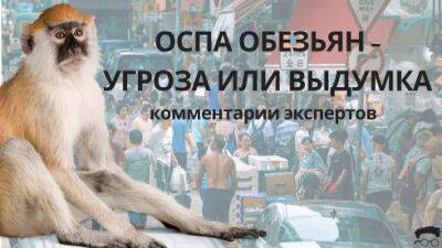 Дмитрий Иванов - Украинские эксперты не видят риска значительного распространения оспы обезьян - видео - bin.ua - Украина