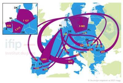 Настоящее и будущее торговли живыми свиньями в ЕС - produkt.by - Германия - Голландия - Евросоюз - Дания - Бельгия
