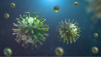 Вирусы выживают в воде, прикрепляясь к частицам пластика - obzor.lt - Шотландия
