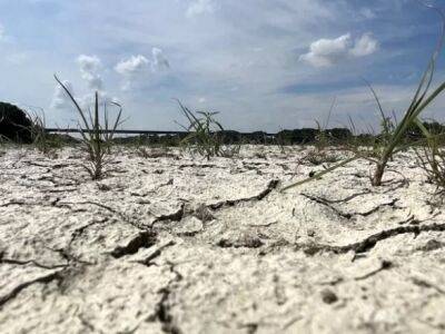 В Италии сильнейшая за 70 лет засуха. В пяти регионах объявлено чрезвычайное положение - unn.com.ua - Украина - Италия - Киев