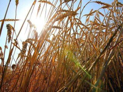 Джон Байден - Сша - Reuters: ЕС может разморозить часть ресурсов российских банков, чтобы вернуть на рынки пшеницу и удобрения - smartmoney.one - Россия - Украина - Сша