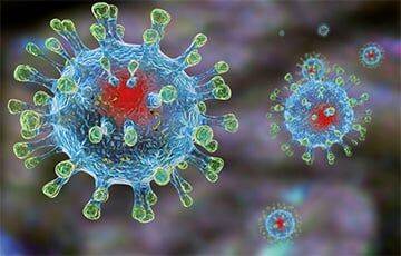 Ученые опубликовали сенсационные материалы о происхождении коронавируса - charter97.org - Белоруссия