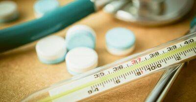 Медики предупреждают о летнем гриппе - rus.delfi.lv - Латвия
