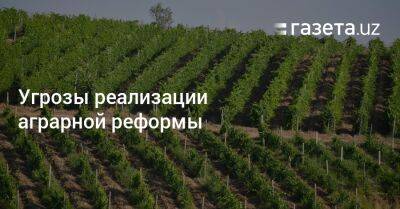 Угрозы реализации аграрной реформы - gazeta.uz - Узбекистан
