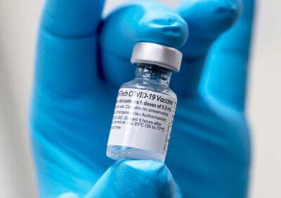 Минздрав Чехии назвал сумму, потраченную на вакцины от ковида - vinegret.cz - Чехия - Минздрав