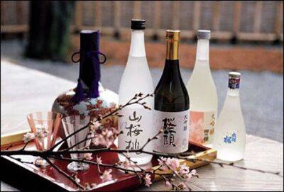 В Японии стартовал конкурс на популяризацию алкоголя среди молодёжи - obzor.lt - Япония