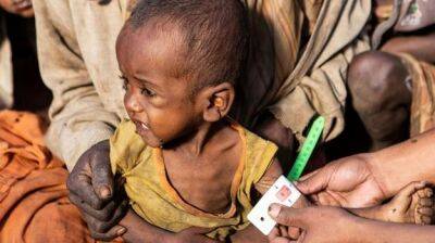 На грани голода в мире находится 828 миллионов человек — доклад ВПП - minfin.com.ua - Украина - Covid-19