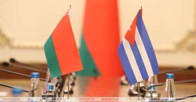 Gomel Oblast, Cuba discuss cooperation prospects - udf.by - Belarus - Covid-19