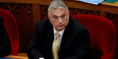 Виктор Орбан - Тайный отдых Орбана в Хорватии. Премьер-министр Венгрии чуть не утонул из-за повреждения надувной лодки, его спас журналист - nv.ua - Украина - Венгрия - Хорватия