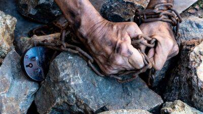 МОТ: 50 млн человек в мире находятся в рабстве - svoboda.org
