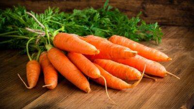 Правда ли, что нельзя есть много моркови: отвечает диетолог - vesty.co.il - Израиль