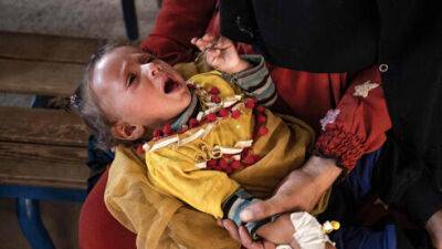 В Сирии разразилась масштабная эпидемия холеры - vesty.co.il - Сирия - Израиль