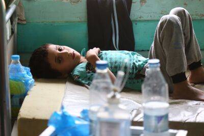 Вспышка холеры в Сирии дойдет до Израиля? - news.israelinfo.co.il - Сирия - Израиль