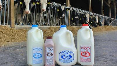 С чем мировой молочный рынок пришел в 2023 год - produkt.by - Россия - Сша - Австралия - Индия - Евросоюз - Новая Зеландия