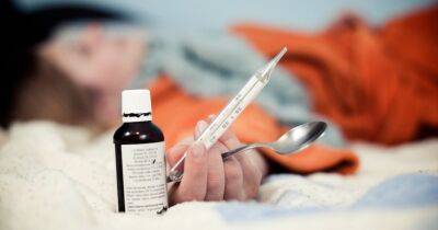 В первую неделю января с гриппом госпитализированы 155 человек - rus.delfi.lv - Латвия - Рига