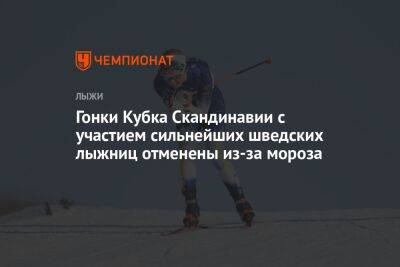 Гонки Кубка Скандинавии с участием сильнейших шведских лыжниц отменены из-за мороза - championat.com - Россия