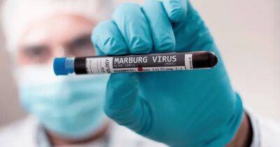 Конкурент COVID-19. ВОЗ обеспокоена распространением вируса Марбург - focus.ua - Украина - Экваториальная Гвинея - Камерун