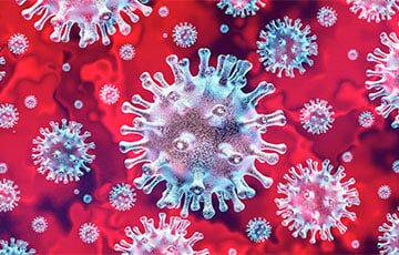 Ученые выяснили, как коронавирус действует на кишечник - charter97.org - Белоруссия - Нью-Йорк